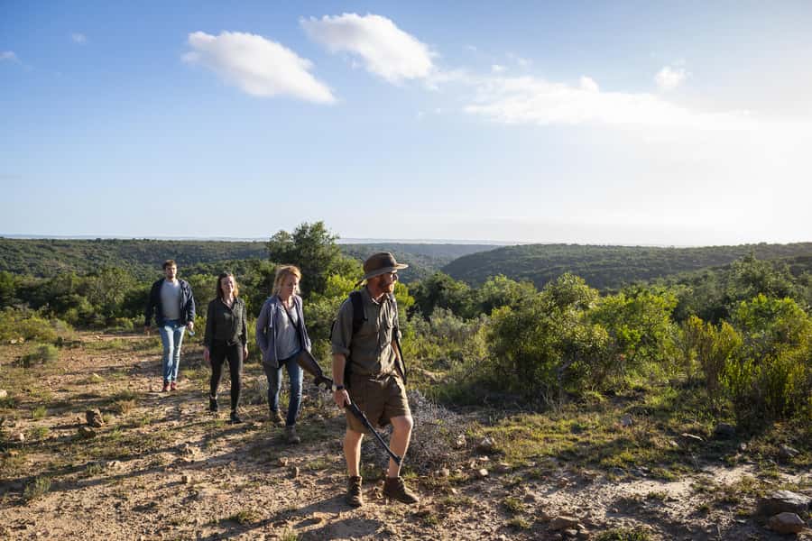 Port Elizabeth: 2-Day Addo Elephant Park Safari - What the giraffe tracking safari really means
