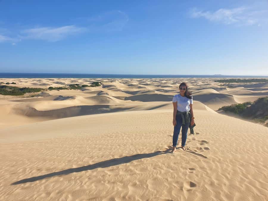 Port Elizabeth: 2-Day Addo Elephant Park Safari - One night of lodging and included meals