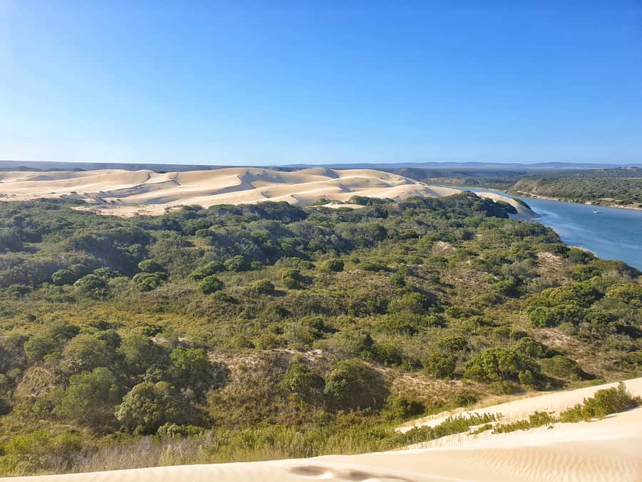 Port Elizabeth: 2-Day Addo Elephant Park Safari - Day one: the Addo game drive