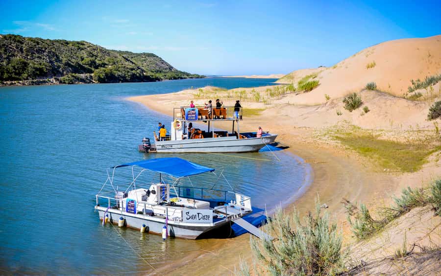 Port Elizabeth: River Cruise on the Sundays River - Birdwatching along the river