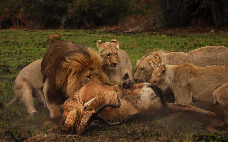 Port Elizabeth: Schotia Safaris Game Reserve Safari - Leaving Port Elizabeth for the reserve