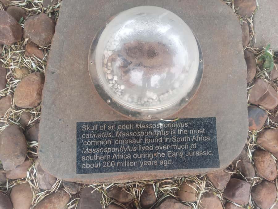 Pretoria/Sandton: Cradle of Humankind & Sterkfontein Caves - Is $106 a fair price?
