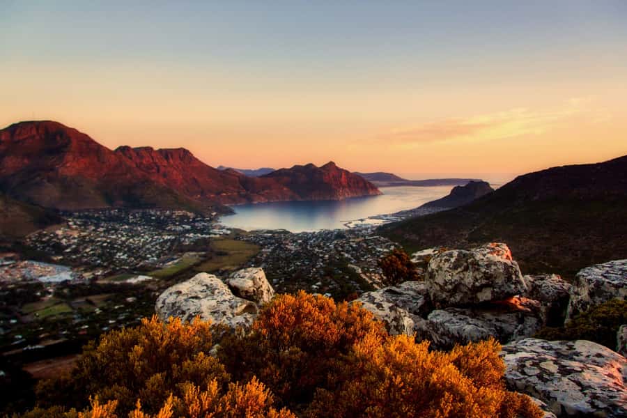 Private Cape Peninsula Half-Day Tour with Penguins - Key points to know before you book
