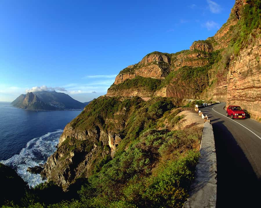 Private Cape Peninsula Half-Day Tour with Penguins - One short ride, many sides of the Cape Peninsula