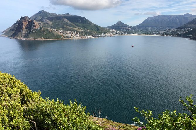 Private Day Tour to Cape Point , Penguins, Wine or Beer Tasting - Hout Bay and the road toward the Cape