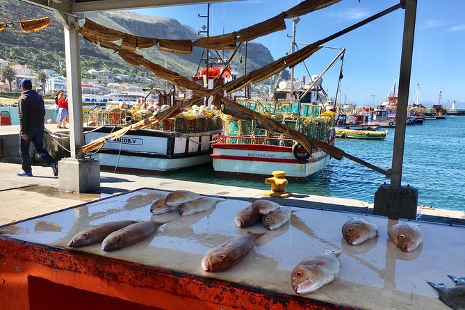 Private Day Tour to Cape Point , Penguins, Wine or Beer Tasting - Boulders Beach and the African penguins