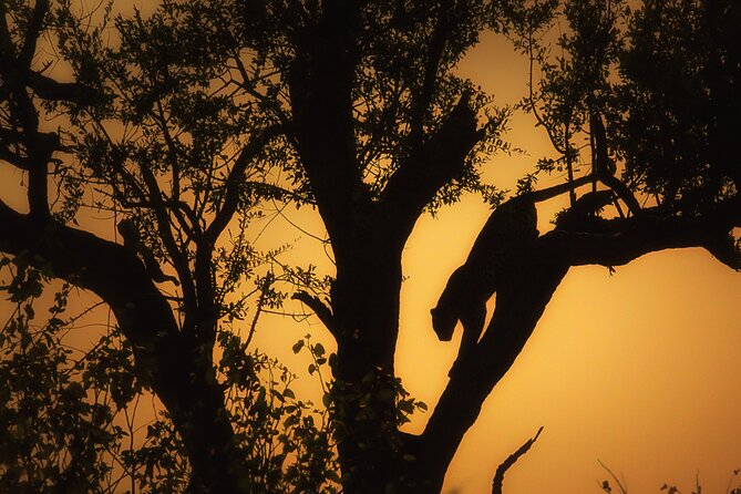 Private Full Day Safari (10 hours) in Kruger National Park - Phalaborwa Gate and the first game drive