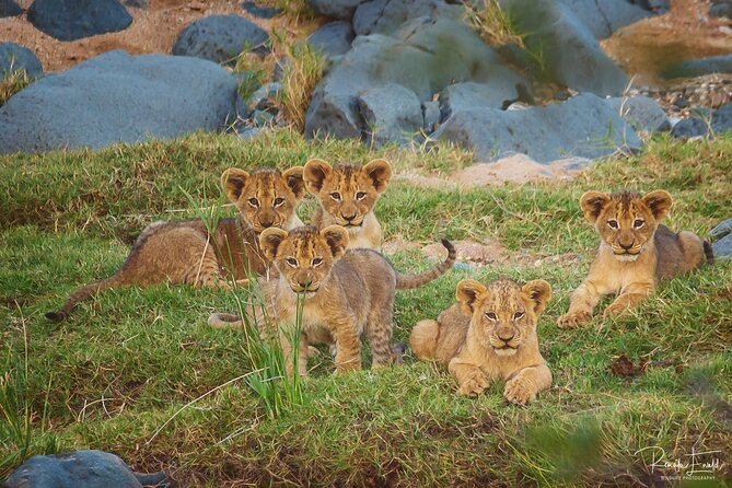 Private Full Day Safari (10 hours) in Kruger National Park - Breakfast and the Elephant Hall at Letaba
