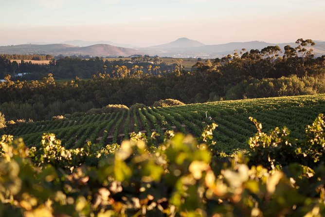 Private Full Day Stellenbosch Wine Tour with Pick Up and Drop Off - Key points at a glance