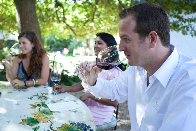 Private Full Day Stellenbosch Wine Tour with Pick Up and Drop Off - Who should choose this Stellenbosch day?