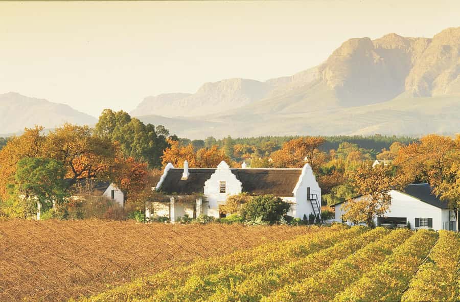 Private Full-Day Winelands Tour in Stellenbosch - Franschhoek brings a different mood