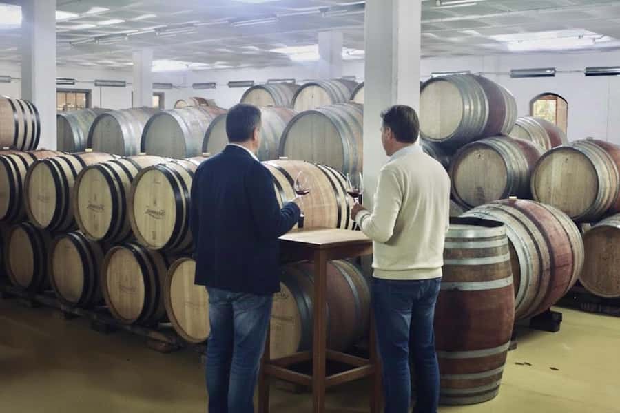 Private Full-Day Winelands Tour in Stellenbosch - What the guides add to the day