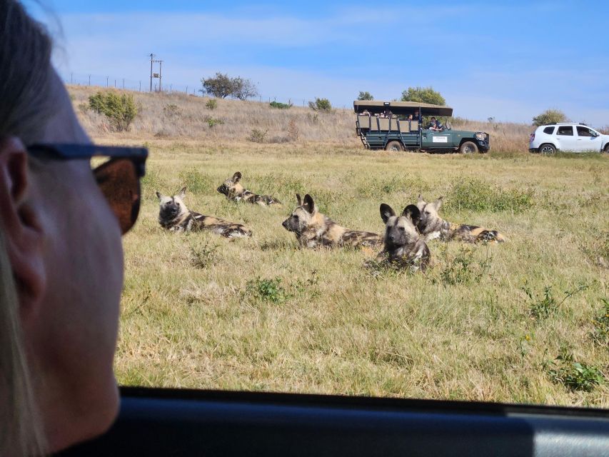 Private Rhino and Lion Park, Cradle Caves or Maropeng Museum - Practical tips for a smoother day