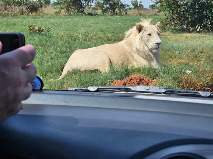 Private Rhino and Lion Park, Cradle Caves or Maropeng Museum - Sterkfontein Caves and the Little Foot skeleton