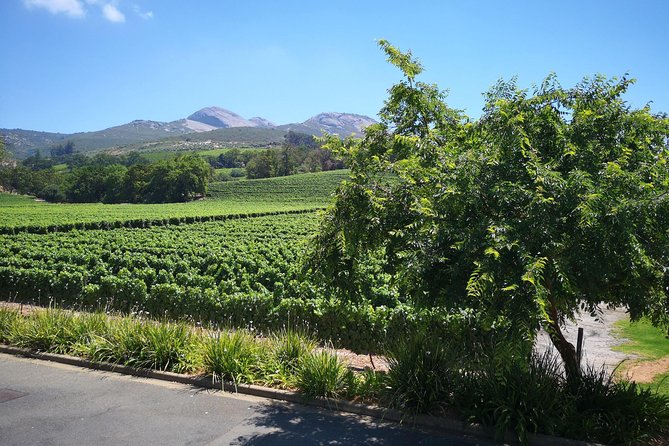 Private Stellenbosch, Franschhoek Paarl Wine Tour from Cape Town - Why a private Cape Winelands day works well