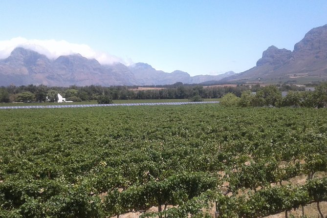 Private Stellenbosch, Franschhoek Paarl Wine Tour from Cape Town - Helshoogte brings the mountain scenery