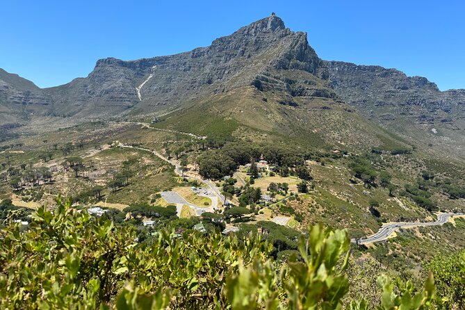 Private Tour:Cape Peninsula &Penguin Beach, Cape Point &more - The guide and private vehicle make the difference