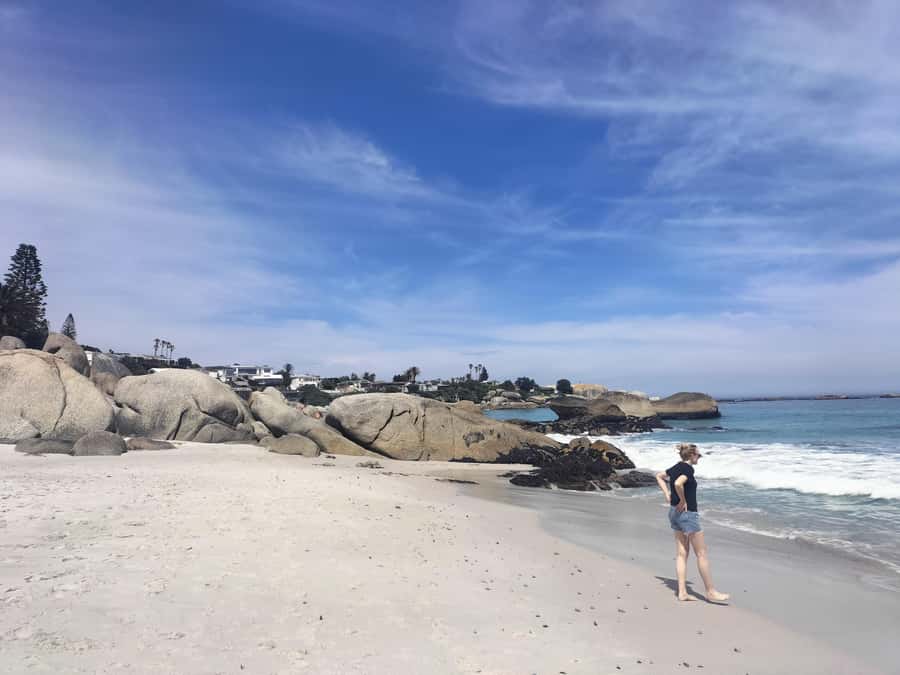 Private Tour:Cape Peninsula &Penguin Beach, Cape Point &more - Who should book this day?