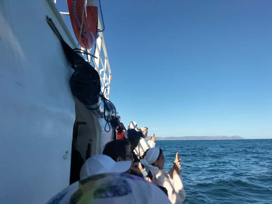 Private Tour: Hermanus- Boat Based Whale Watching Experience - Key points to know