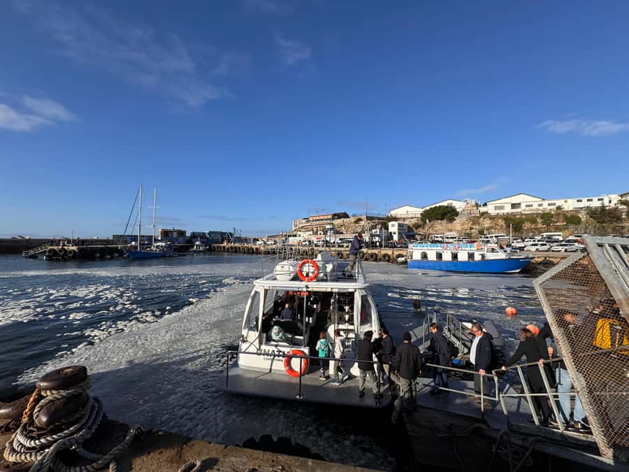 Private Tour: Hermanus- Boat Based Whale Watching Experience - Who will enjoy this day most