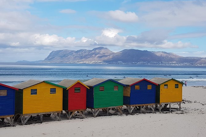 Private Tour Of Penguins, Cape Of Good Hope & Peninsula. - Why a private Peninsula day makes sense