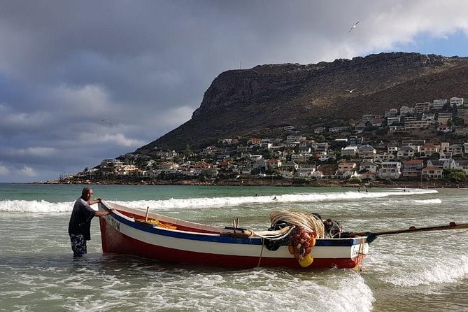 Private Tour Of Penguins, Cape Of Good Hope & Peninsula. - Cape Point and the Cape of Good Hope