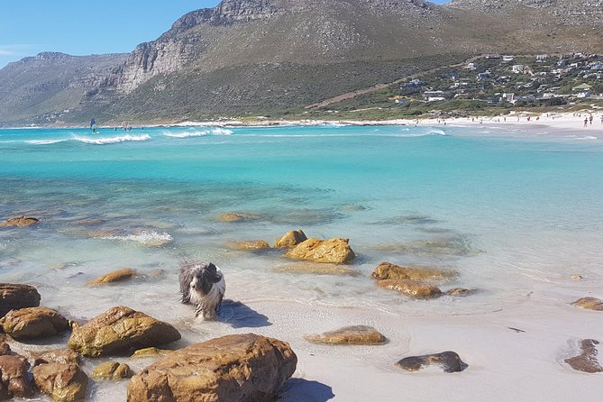 Private Tour Of Penguins, Cape Of Good Hope & Peninsula. - Muizenberg Beach and the first coastal views