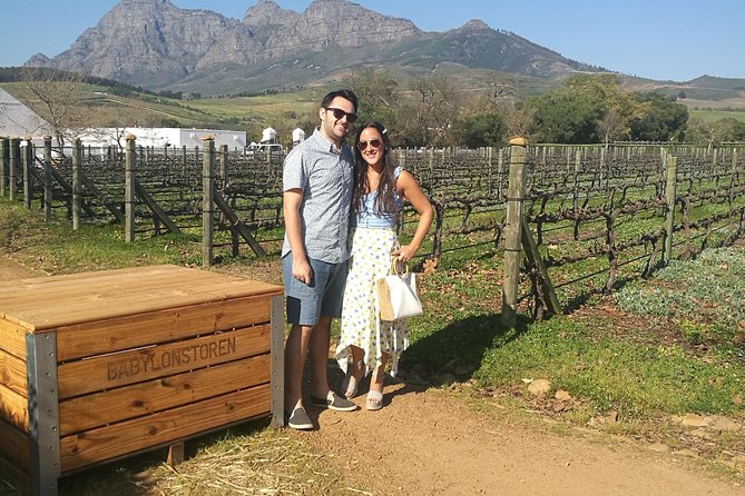 Private Wine Tour of Stellenbosch, Franschhoek and Paarl - Why a private Winelands day works so well