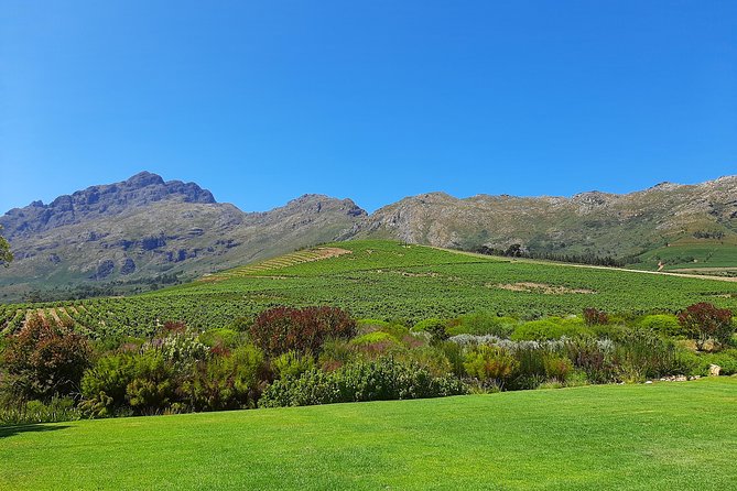 Private Wine Tour of Stellenbosch, Franschhoek and Paarl - Paarl and the value of choosing less