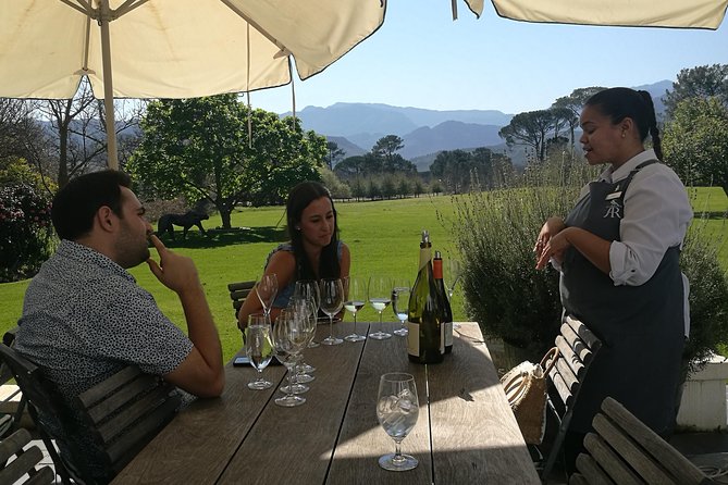 Private Wine Tour of Stellenbosch, Franschhoek and Paarl - What the three tastings add