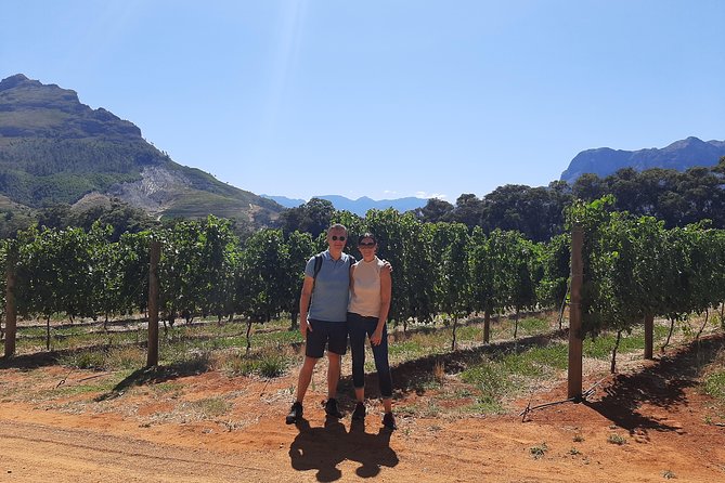 Private Wine Tour of Stellenbosch, Franschhoek and Paarl - Starting at 9:30 am with your own route