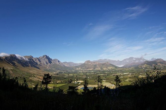 Private Wine Tour with Wine Expert to Stellenbosch-Franschhoek Wine Regions - What Marlene and Cedric add to the day