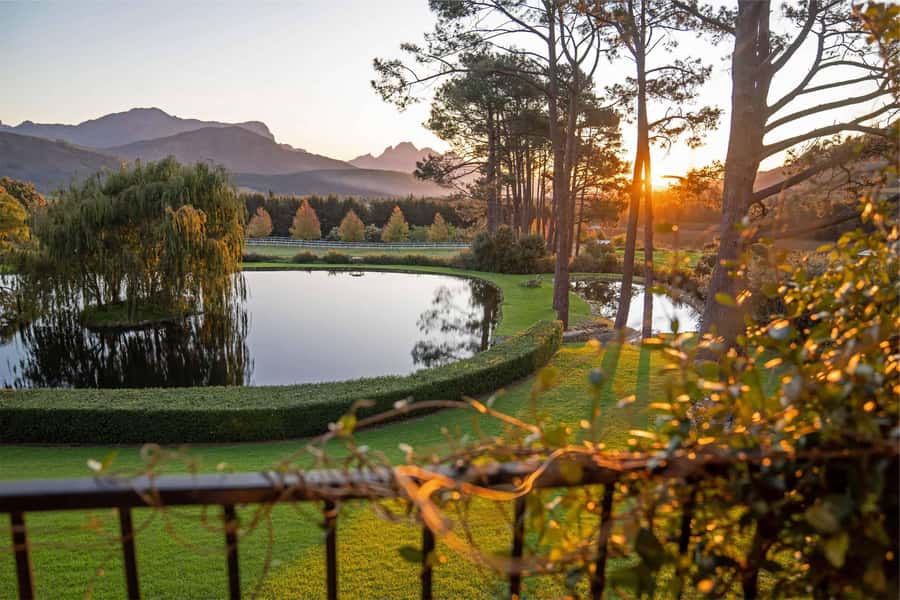 Private Winelands Immersive Experience Full Day - Morning in Paarl at Rhebokskloof