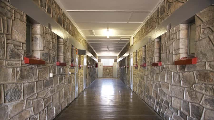 ROBBEN ISLAND MUSEUM TOUR, WITH OPTIONAL LAST MINUTE TICKETS - Group size, access, and the real pace