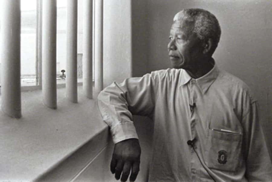 ROBBEN ISLAND MUSEUM TOUR, WITH OPTIONAL LAST MINUTE TICKETS - Meeting a former political prisoner