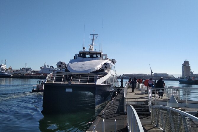 Robben Island Tour including Pick Up & Drop Off from Cape Town - The Island Bus Route and Its Difficult Places