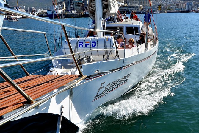 Sailing in The Bay by Catamaran (One Hour) - Who Will Enjoy This Cruise Most?