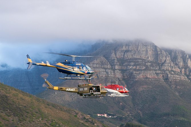 Scenic Cape Point Helicopter Tour from Cape Town - Reaching Cape Point by air