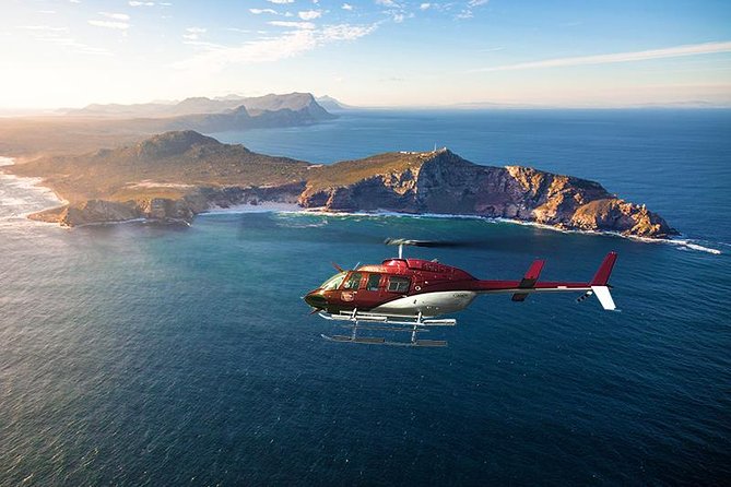 Scenic Cape Point Helicopter Tour from Cape Town - Table Mountain and the first coastal views