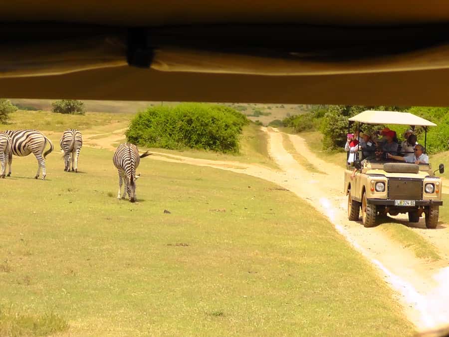 Schotia Safaris: Best Wildlife Encounters in Port Elizabeth - The refreshment stop and included extras