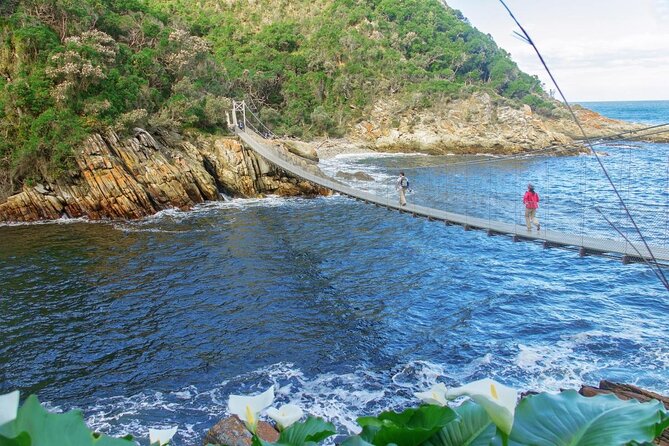Scooter Tours through Tsitsikamma National Park - Key points at a glance