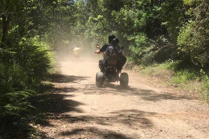 Scooter Tours through Tsitsikamma National Park - Timing, weather, and the non-refundable rule
