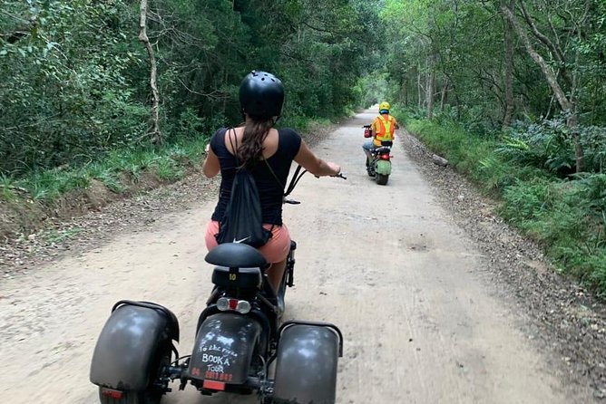Scooter Tours through Tsitsikamma National Park - What the forest ride actually feels like