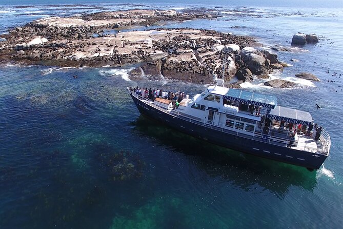 Seal Island,Cape of Good Hope&Penguins Shared Tour,From Cape Town - The Cape of Good Hope sign and the geography behind it