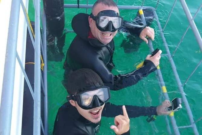 Shark Cage Diving - Seeing a Great White from the deck