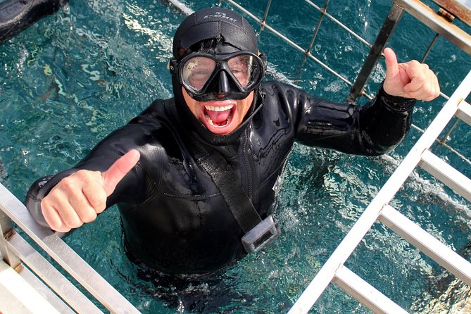 Shark Cage Diving and Viewing with transport from Cape Town - The real adventure begins on the road to Gansbaai