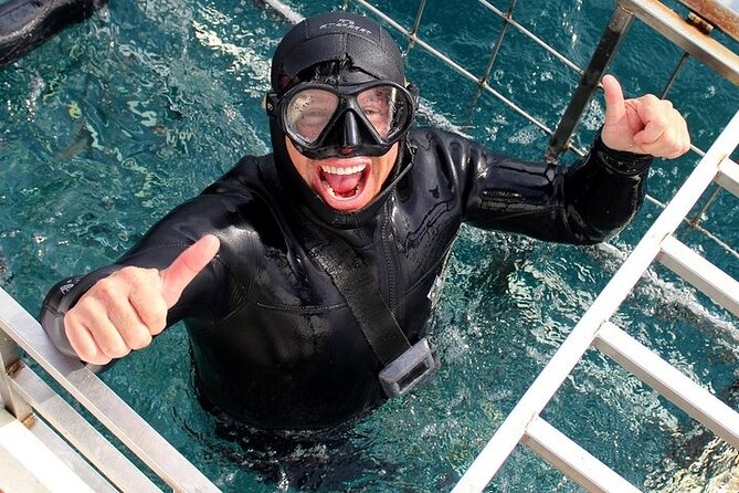 Shark Cage Diving and Viewing with transport from Hermanus - Is $234.50 a fair price?