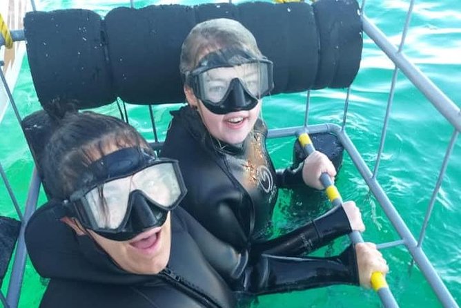 Shark Cage Diving - What the cage encounter offers