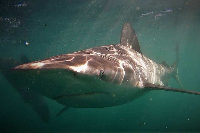 Shark Explorers - What to bring and what to leave at the center