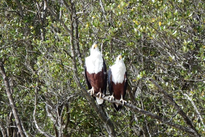Shoreline Hippo and Crocodile Boat Cruises, iSimangaliso Wetland Park - Starting at the Siyabonga Tourism Centre in St Lucia
